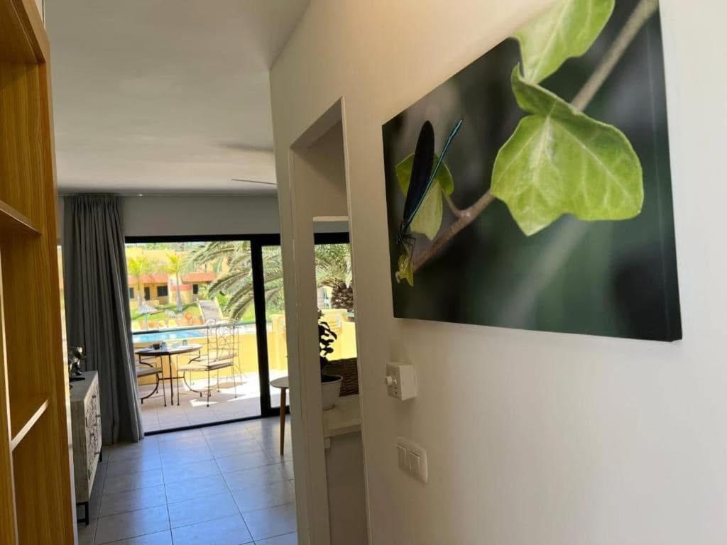 Vakantiehuis Atlantic Garden Andrew Pool Air Conditioning *